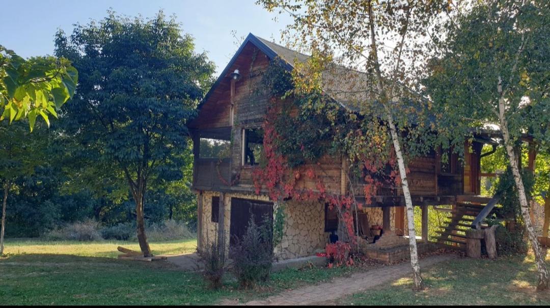 Log Holiday home