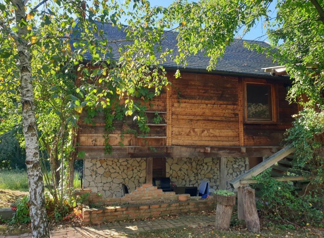 Log Tatil Evi Belgrad
