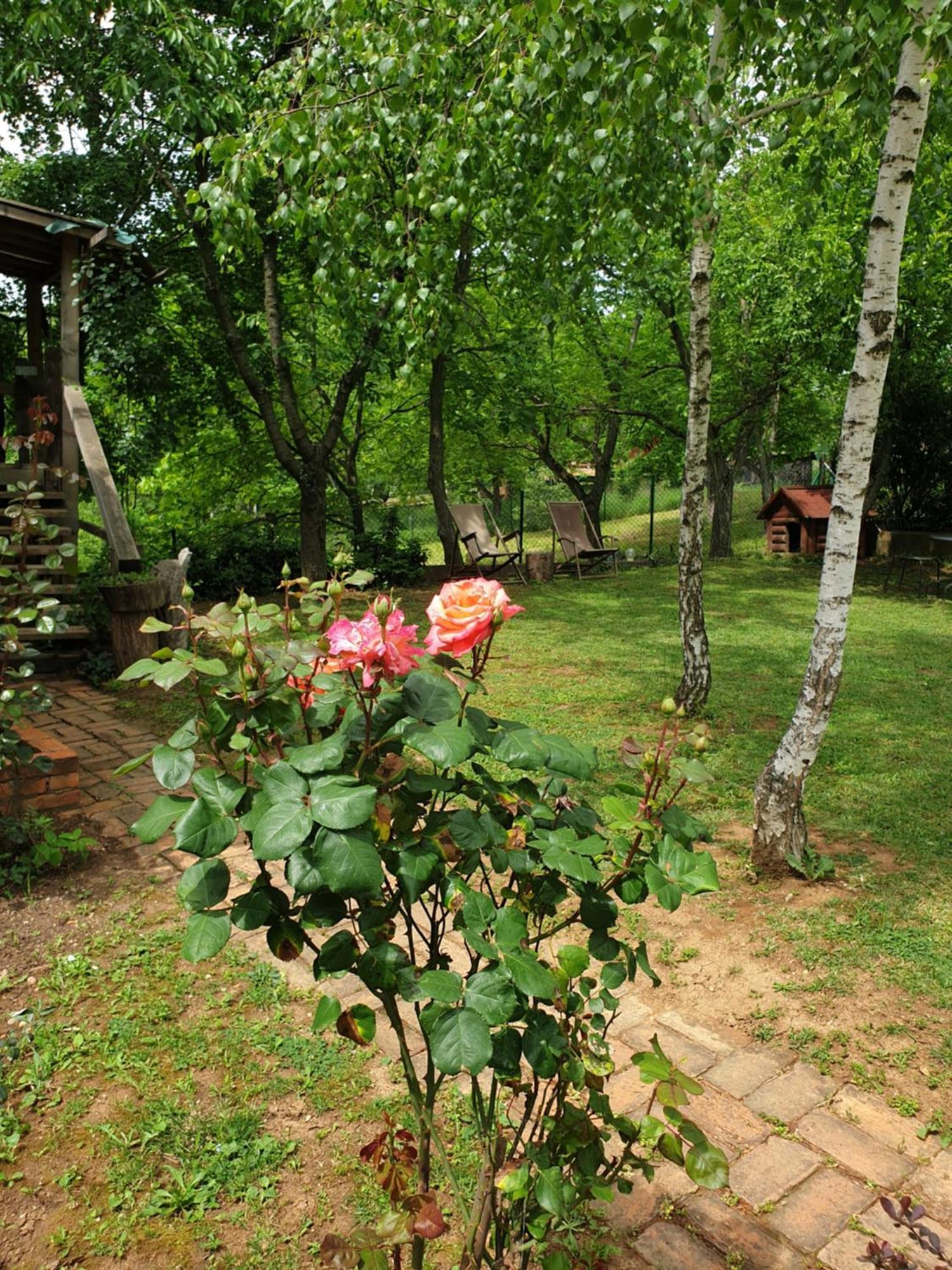 Tatil Evi Log